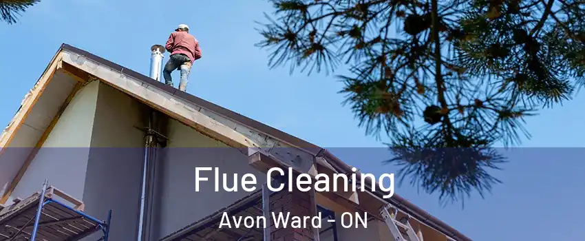  Flue Cleaning Avon Ward - ON