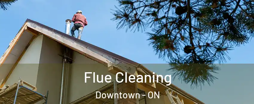  Flue Cleaning Downtown - ON