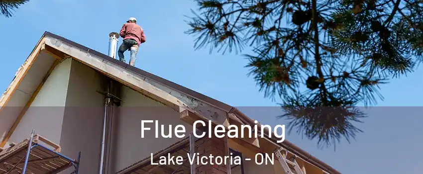  Flue Cleaning Lake Victoria - ON