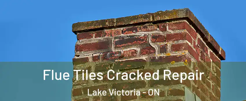  Flue Tiles Cracked Repair Lake Victoria - ON