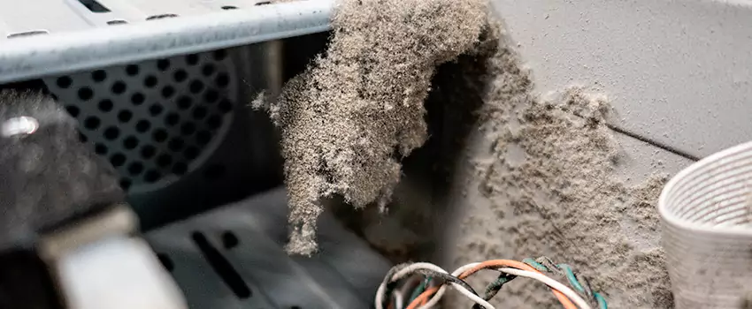 Clogged Dryer Vent Lint Cleaning in Stratford, Ontario