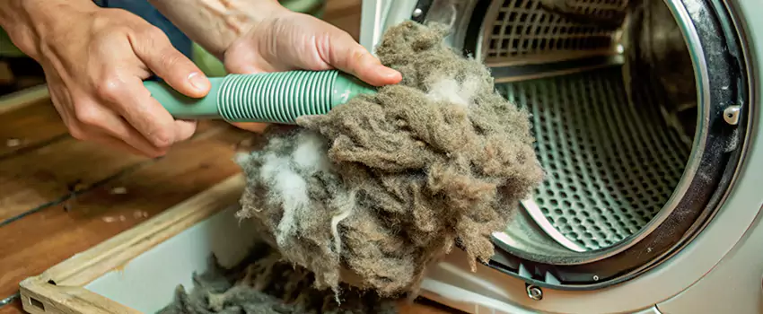 Best Dryer Lint Removal Company in Stratford, Ontario