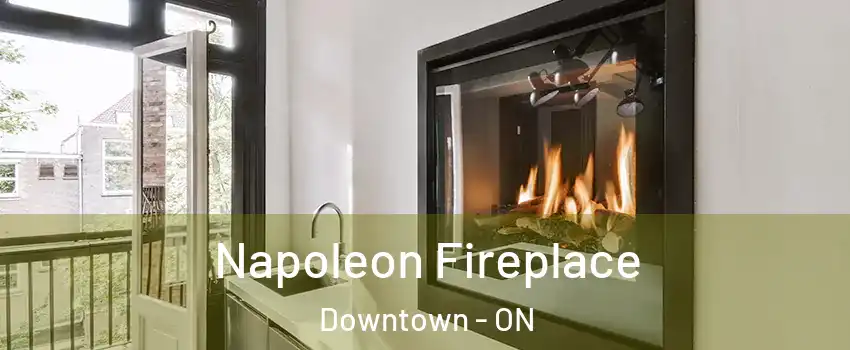 Napoleon Fireplace Downtown - ON