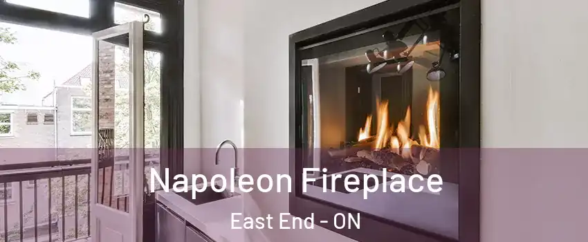 Napoleon Fireplace East End - ON