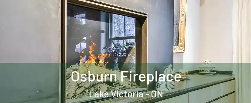  Osburn Fireplace Lake Victoria - ON