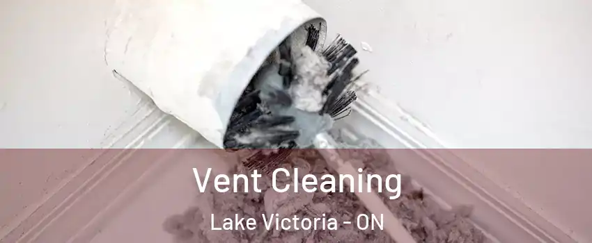  Vent Cleaning Lake Victoria - ON