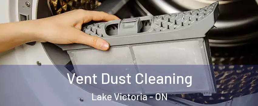  Vent Dust Cleaning Lake Victoria - ON