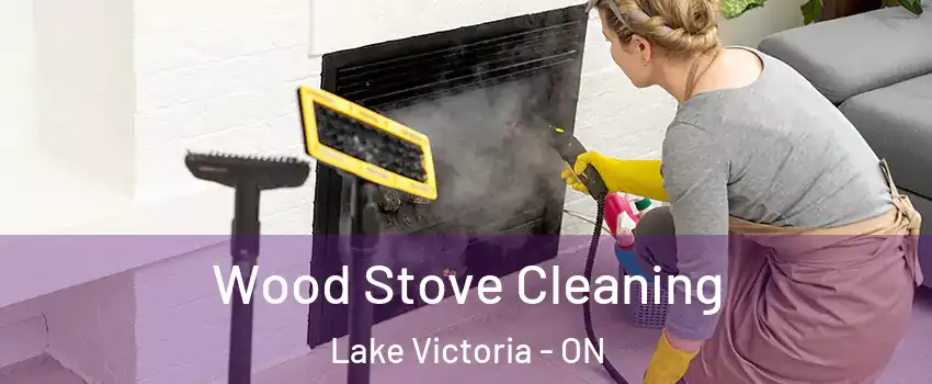  Wood Stove Cleaning Lake Victoria - ON